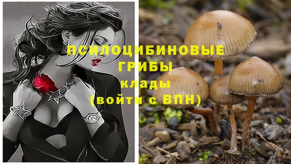 каннабис Абинск