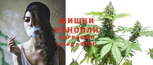 ПСИЛОЦИБИНОВЫЕ ГРИБЫ Абаза