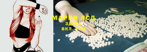 ПСИЛОЦИБИНОВЫЕ ГРИБЫ Абаза
